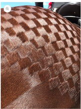 Load image into Gallery viewer, Hairy pony  Quarter mark Spray