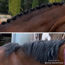 Load image into Gallery viewer, Fake it starter pack, includes mini fastener