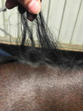 Load image into Gallery viewer, Fake it mane replacement