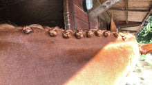 Load image into Gallery viewer, Fake it mane replacement