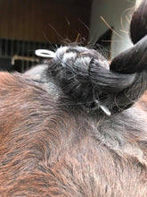 Load image into Gallery viewer, Forelock fasteners