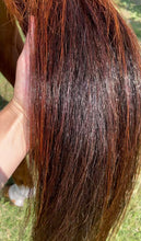 Load image into Gallery viewer, Hairy pony Silky serum