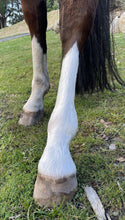 Load image into Gallery viewer, Hairy pony toner bar