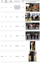 Load image into Gallery viewer, Tailboot
