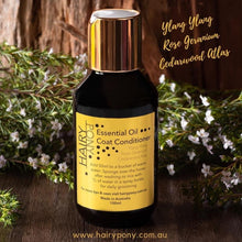 Load image into Gallery viewer, Liquid Gold Essential oil Coat conditioner