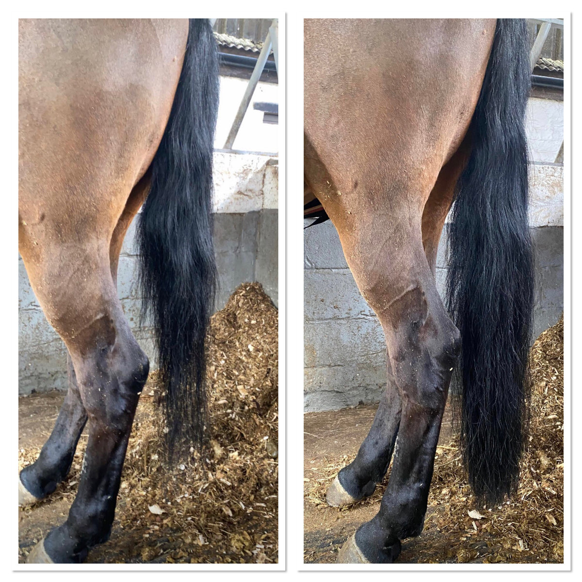 False tail double thickness – Ezee Tails