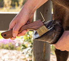 Load image into Gallery viewer, Hairy pony Copper bristle hoof pick